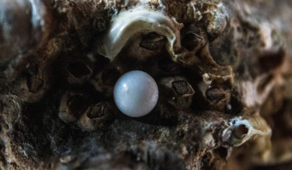 Cleaning and caring for mother of pearl
